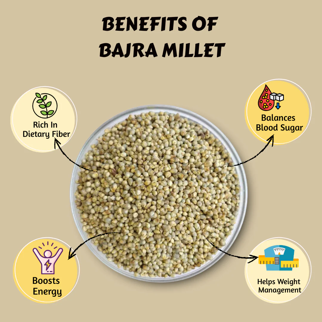 Bajra (Pearl Millet) - Image 4