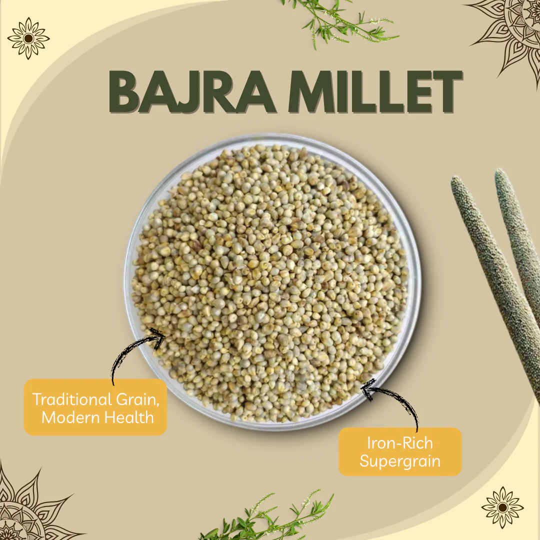 Bajra (Pearl Millet) - Image 5