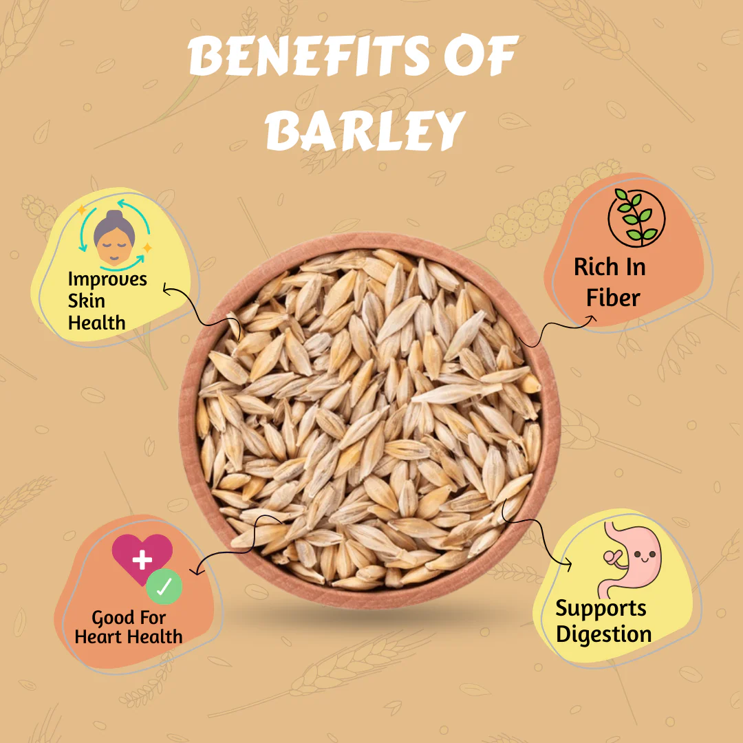 Barley - Image 5