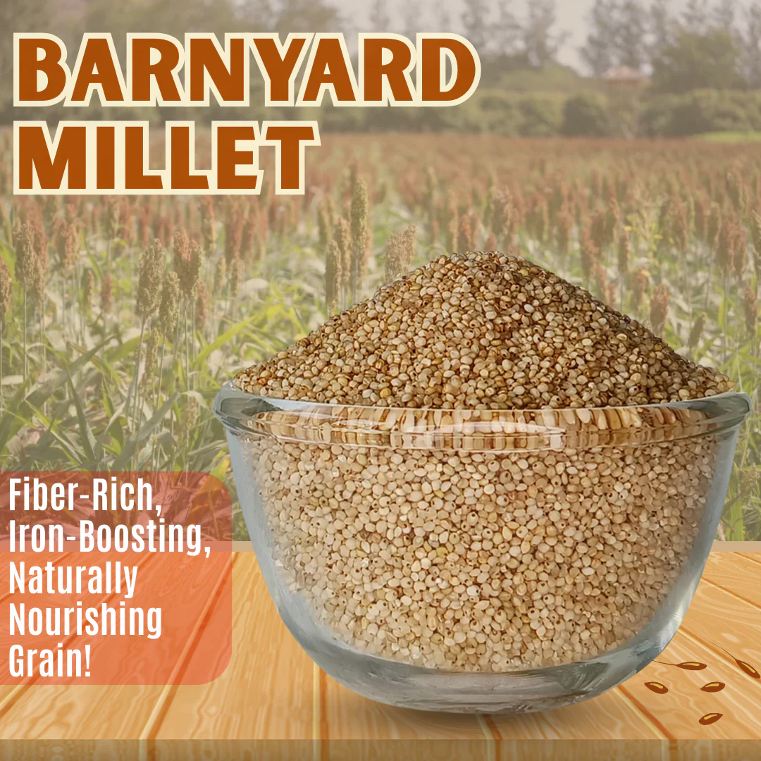Barnyard Millet - Image 3