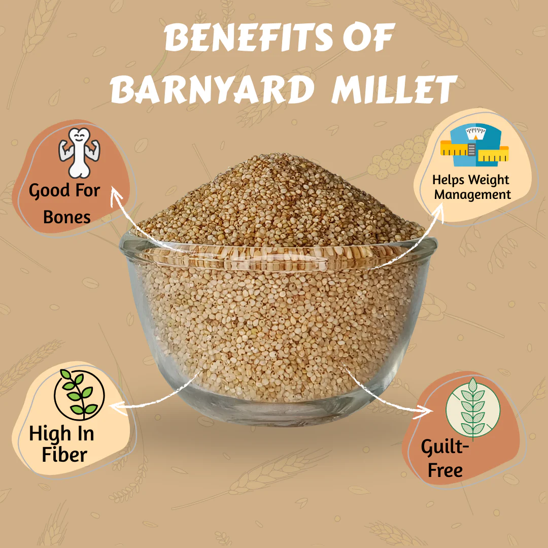 Barnyard Millet - Image 4