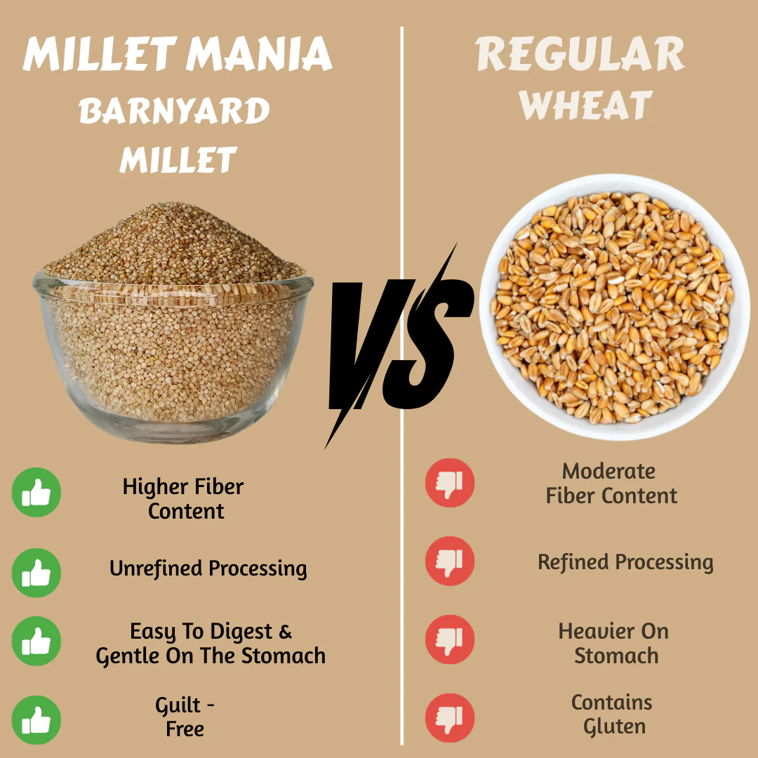 Barnyard Millet - Image 5