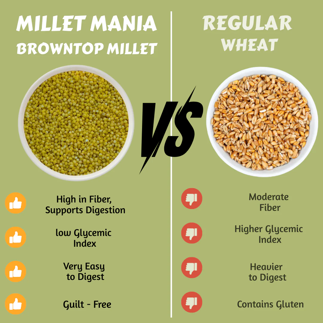 Browntop Millet - Image 4