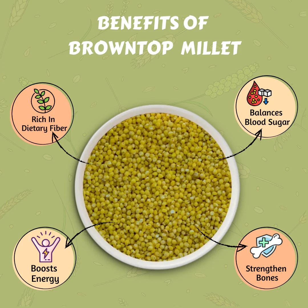 Browntop Millet - Image 5