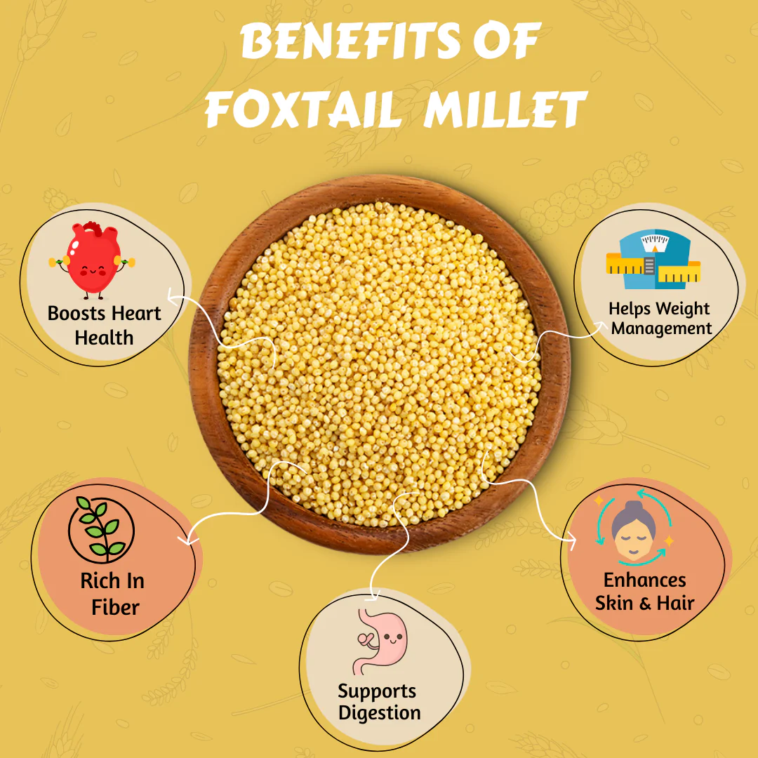 Foxtail Millet - Image 4