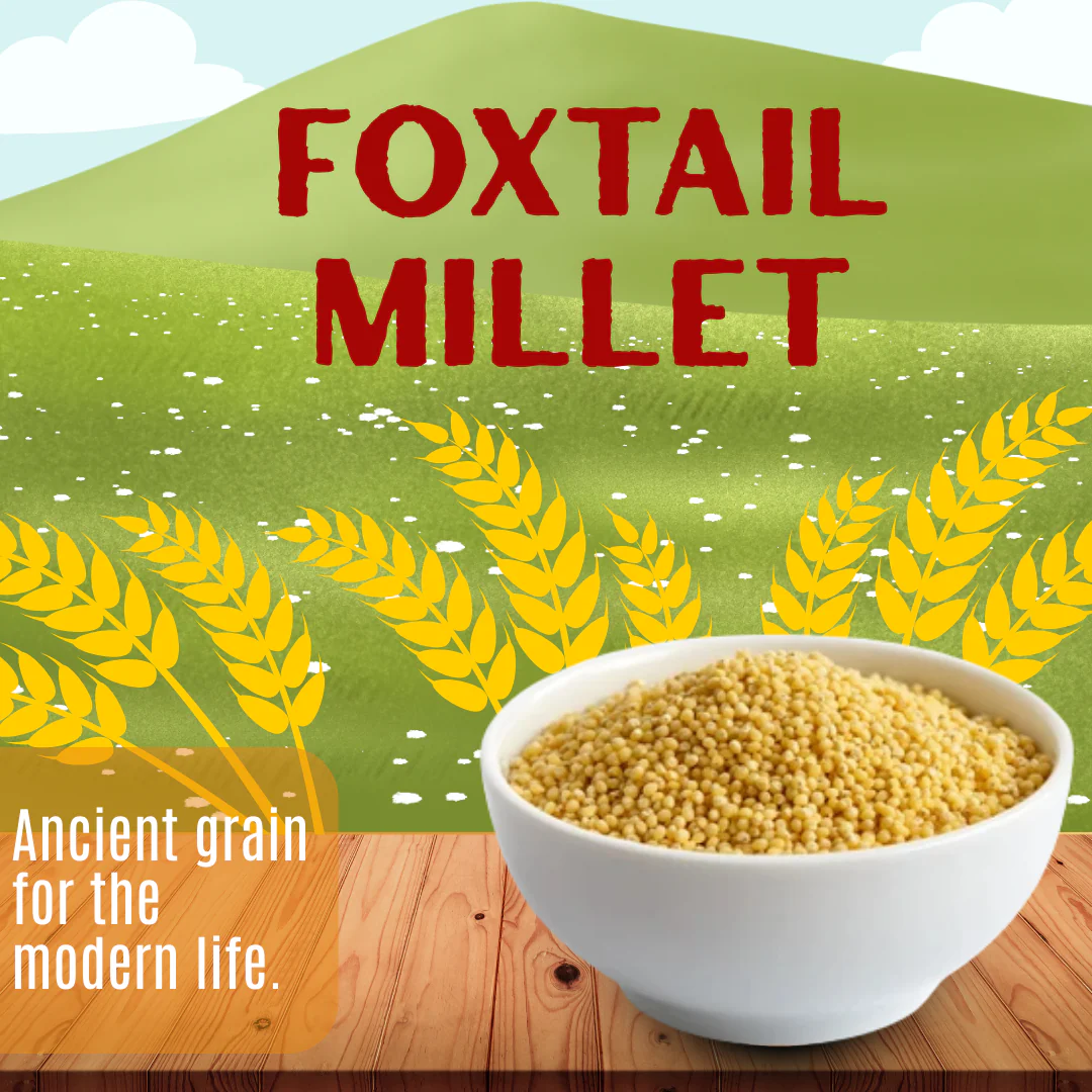 Foxtail Millet - Image 5
