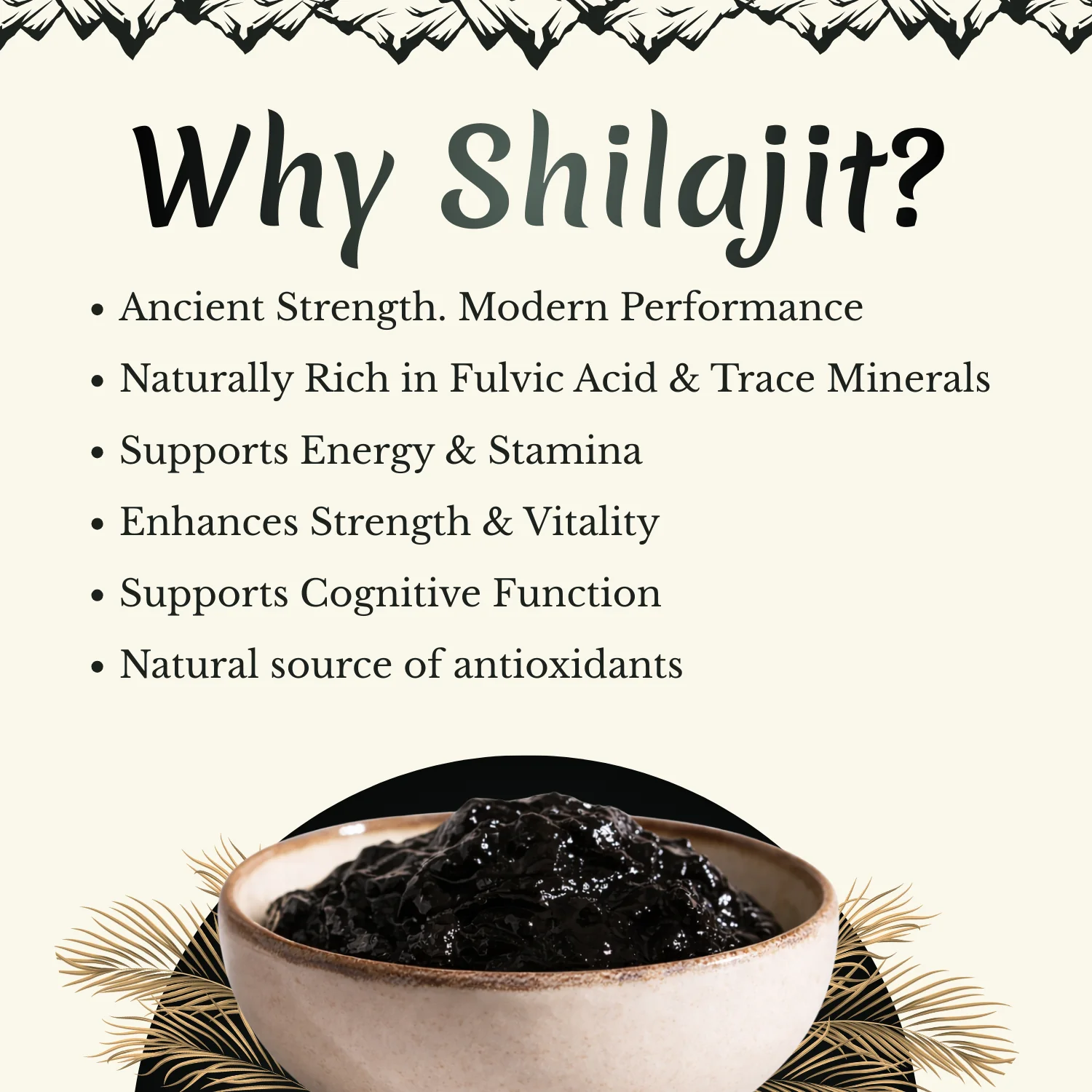 Himalayan Shilajit (20g) - Image 4