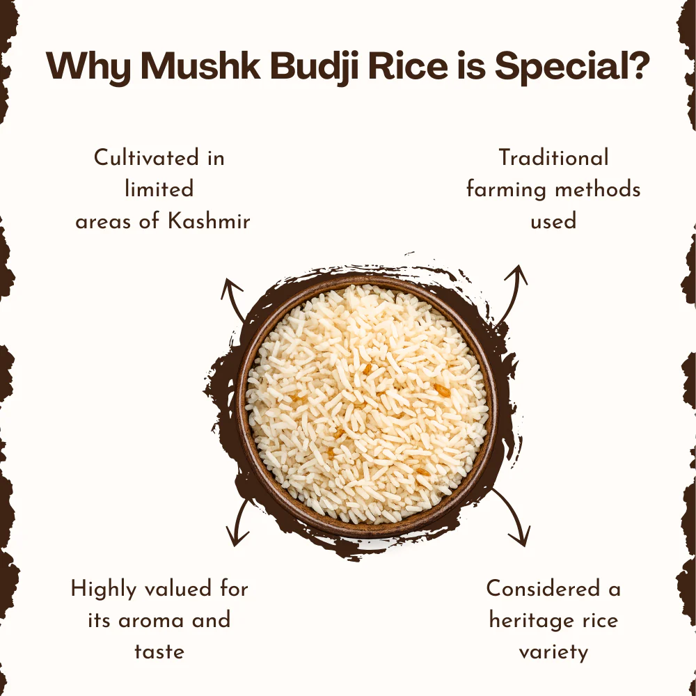 Kashmiri Mushk Budji Rice - Image 6