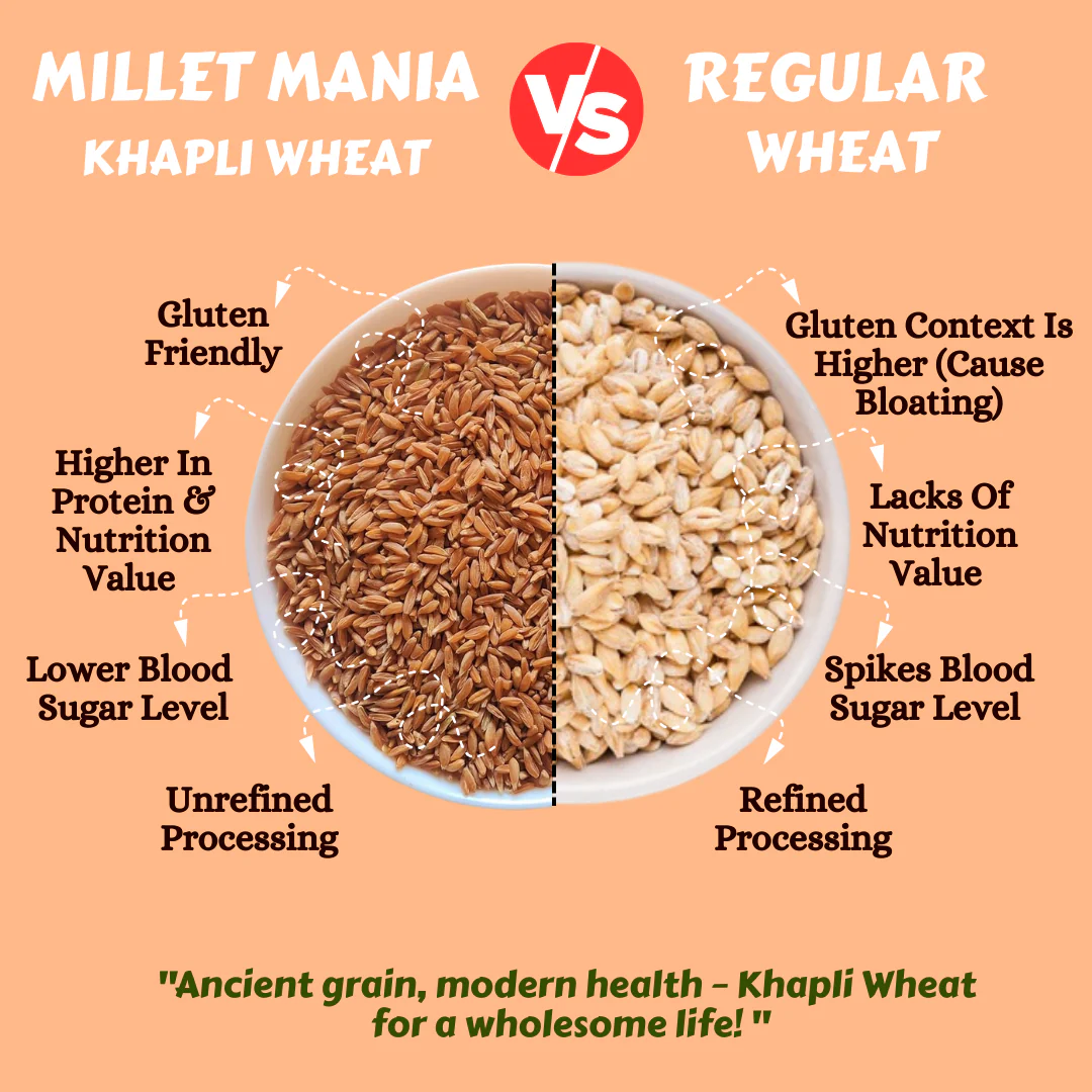Khapli Wheat - Image 3