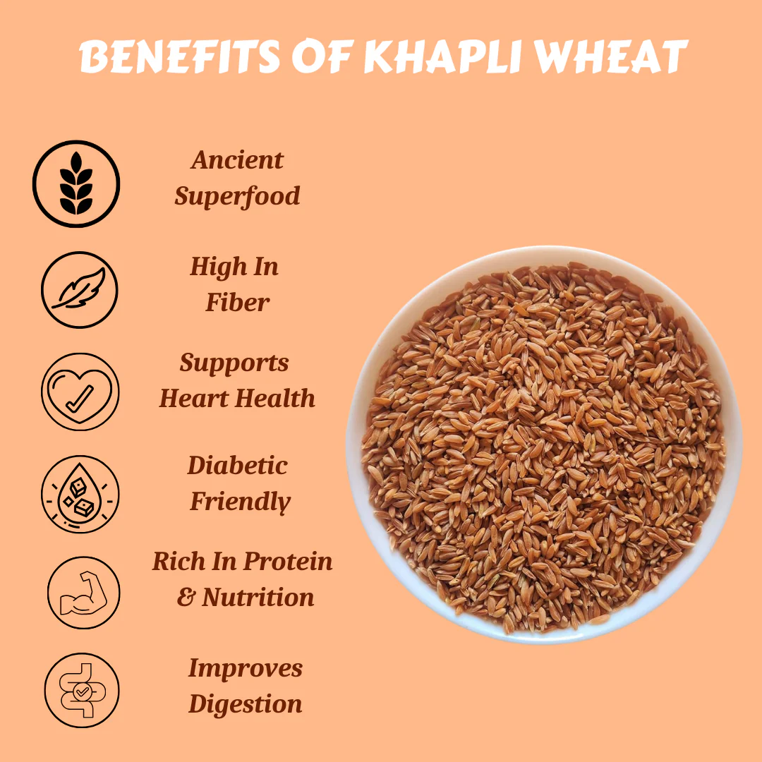 Khapli Wheat - Image 4