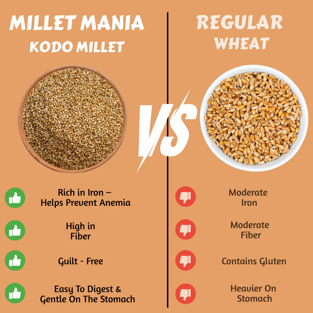 Kodo Millet - Image 3