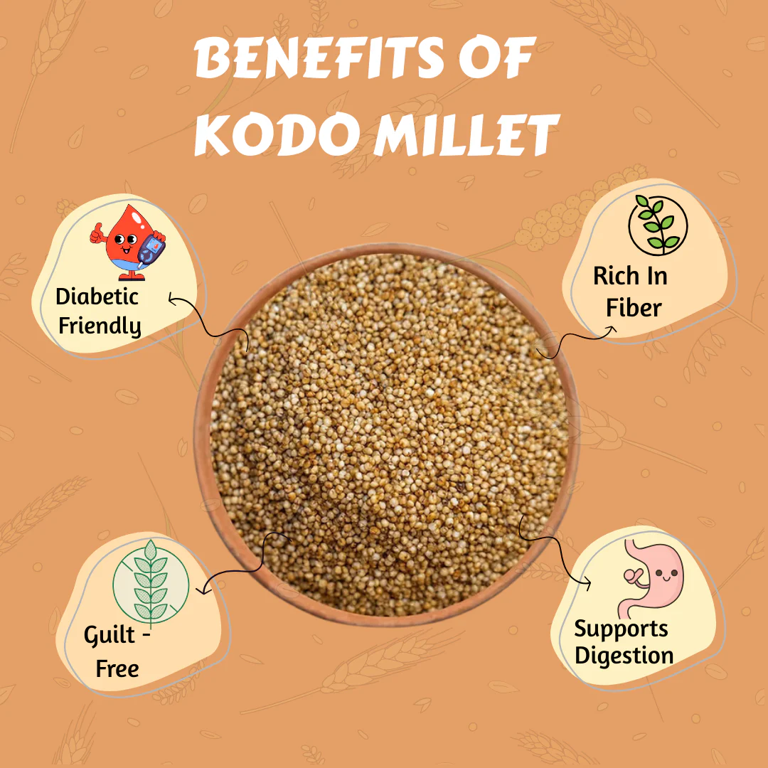 Kodo Millet - Image 5