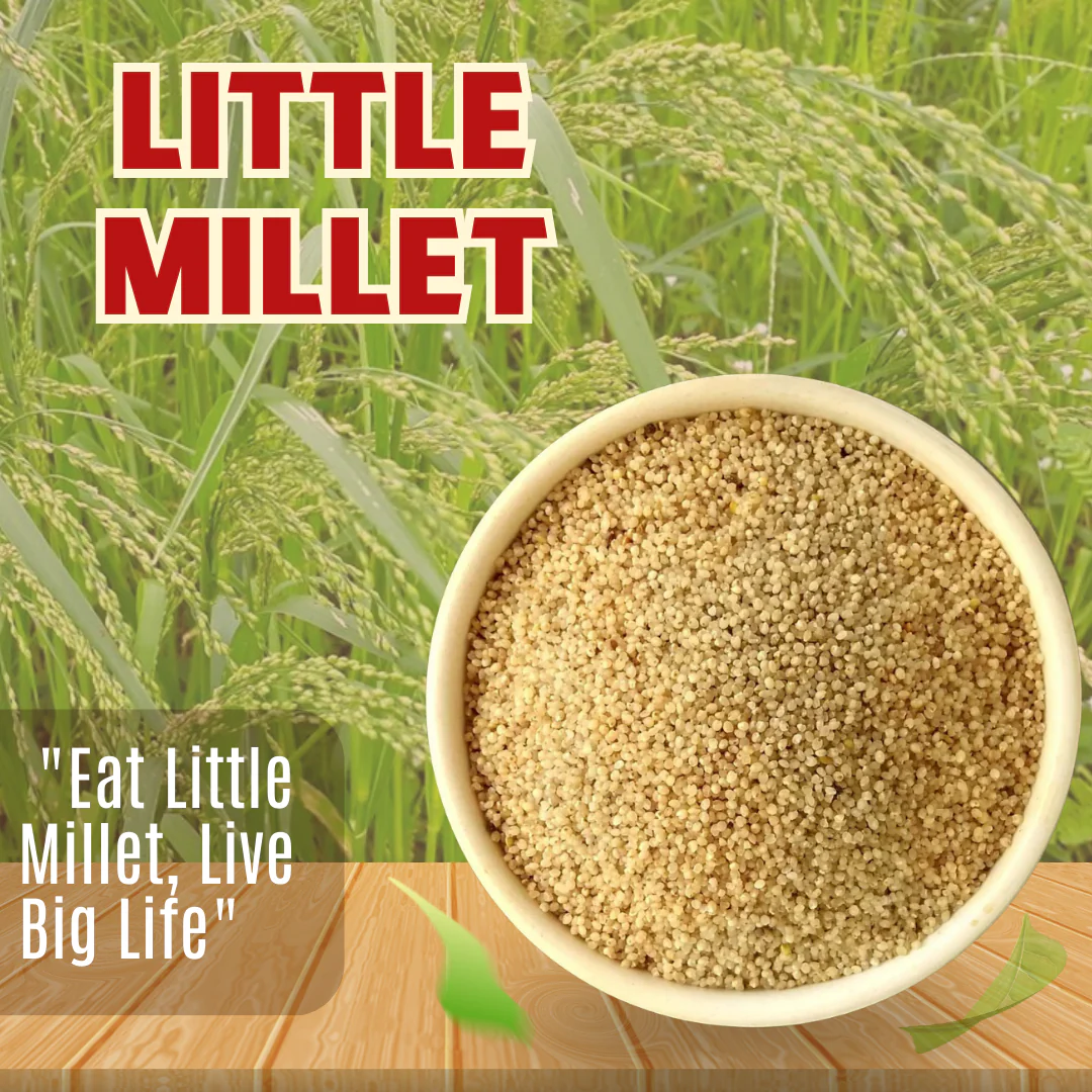 Little Millet - Image 5