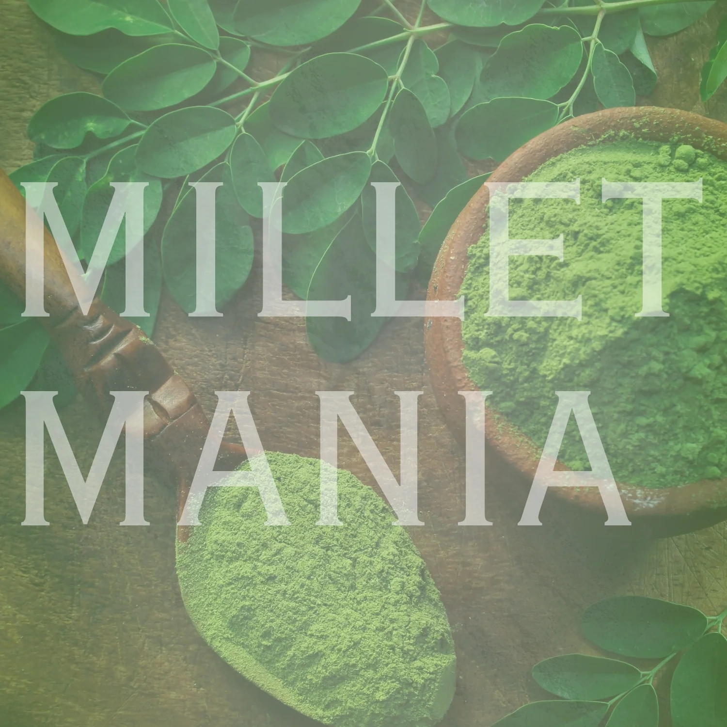 Moringa Powder (100g) - Image 6