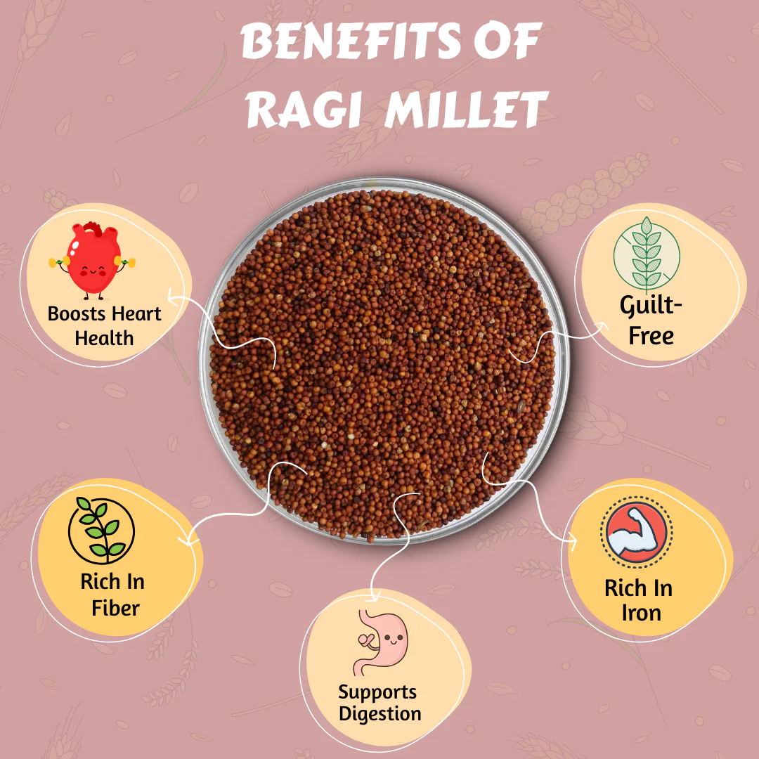 Ragi (Finger Millet) - Image 5
