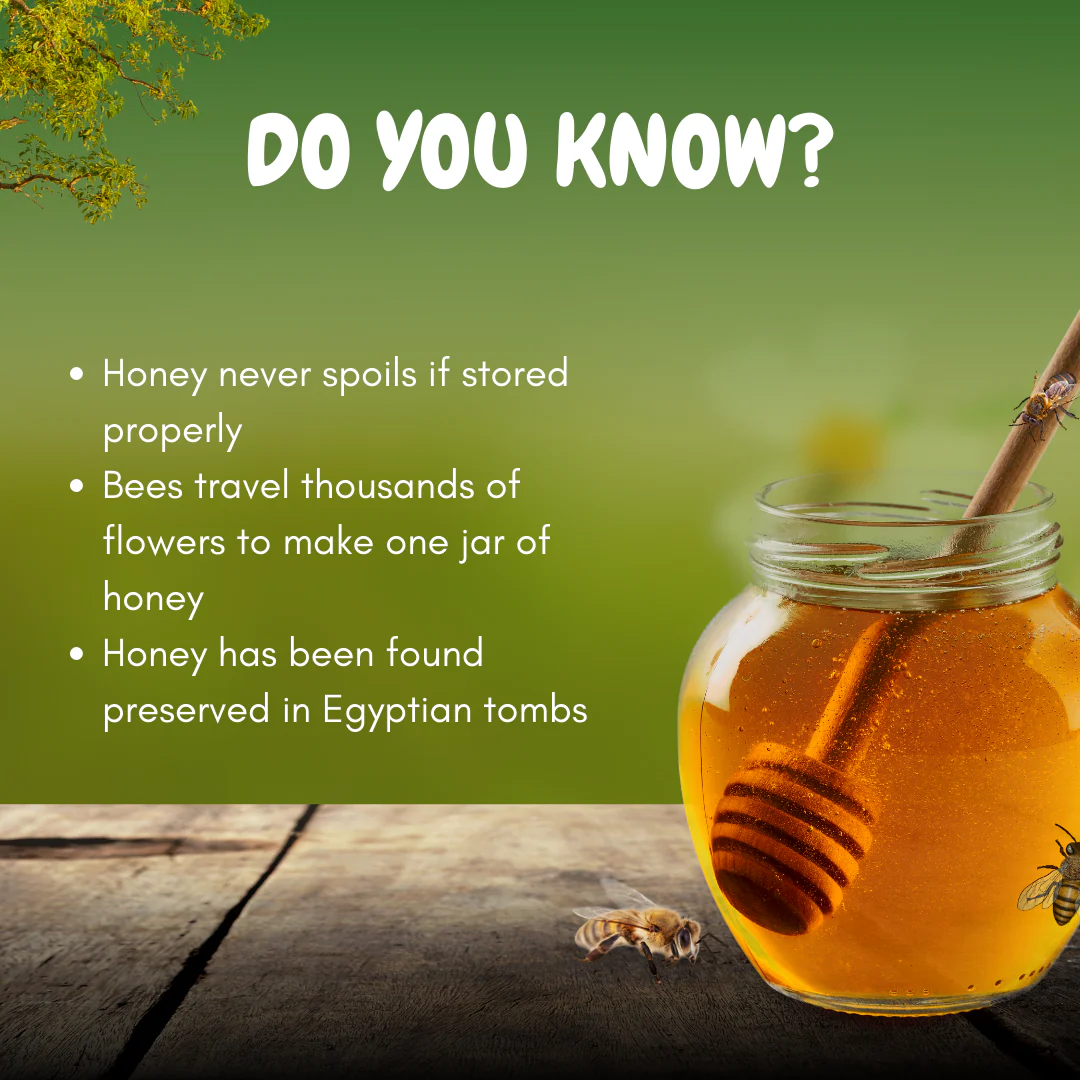 Forest Honey (250ml) - Image 6